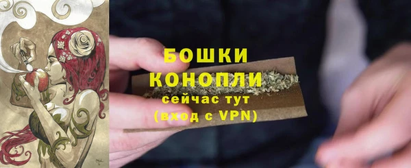 ECSTASY Белокуриха